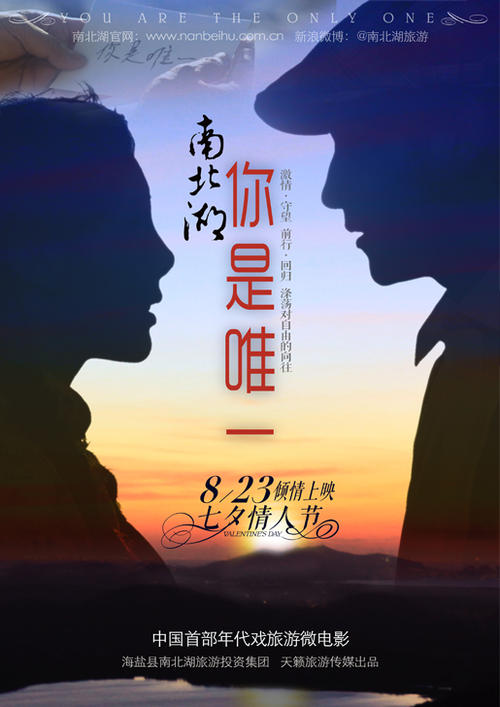 办假的迪肯森学院文凭毕业证